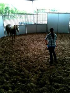 Brittany Rucker, working with a young horses in one of her classes. 